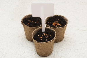 Biodegradable cardboard pots